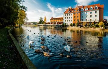 Фото Отель Hotel Nad Pisą г. Пиш 1