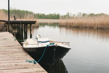 Фото номера Вилла Виллы Gasan Place - Domki na Mazurach г. Пиш 35